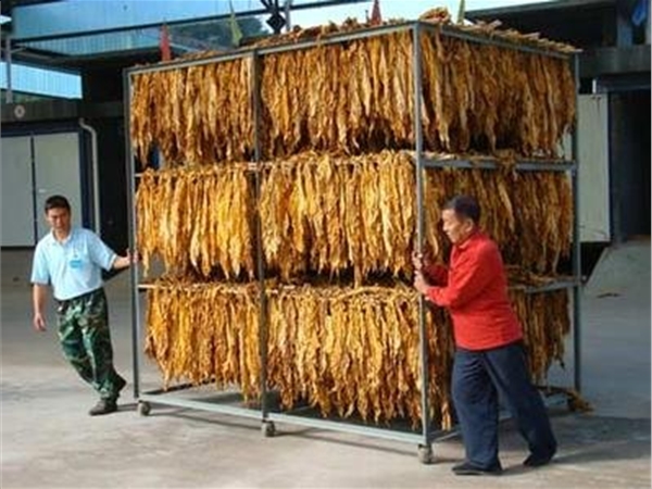 WYH系列煙草烘干箱(點擊進(jìn)入）
